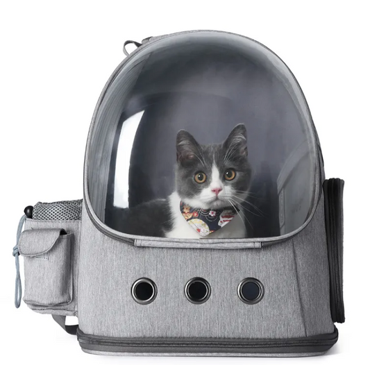 ComfyGo Pet Travel BagTravel in comfort