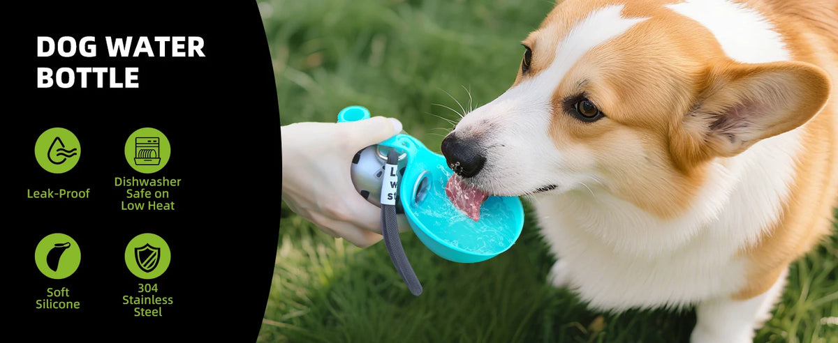 2-in-1 Dog Travel Water Bottle