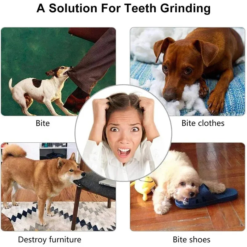Non-Toxic Bite-Resistant Dog Toy Ball