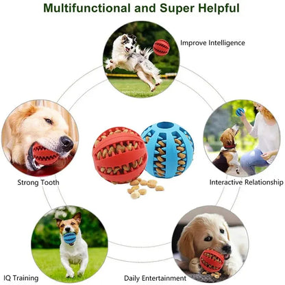 Non-Toxic Bite-Resistant Dog Toy Ball