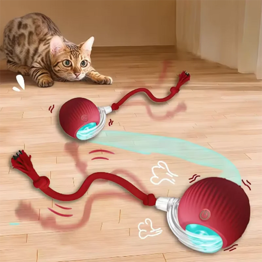 Smart Auto-Rolling Cat Ball