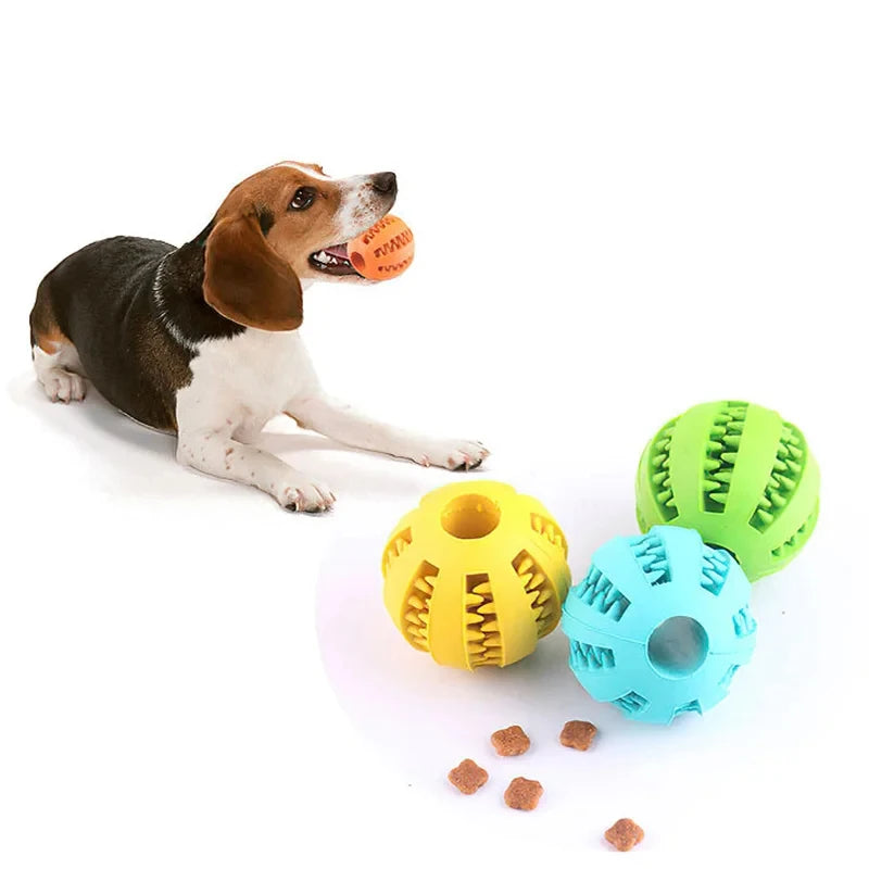Non-Toxic Bite-Resistant Dog Toy Ball