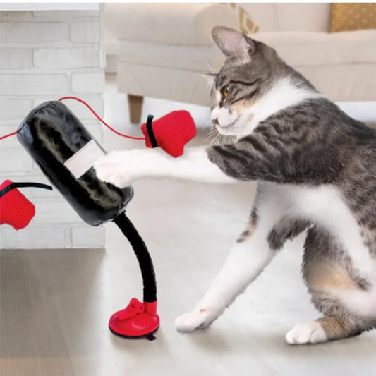 Cat Boxing Punching Bag