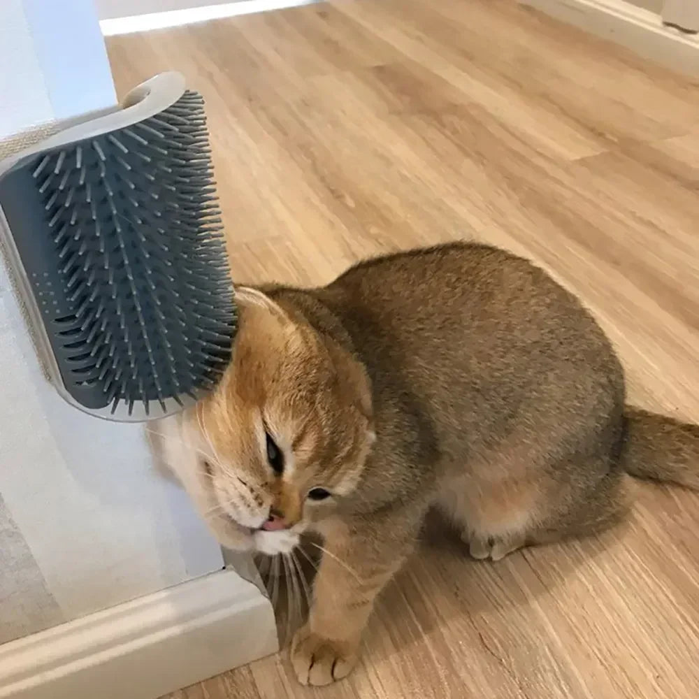 Corner Cat Scratcher & Grooming Brush